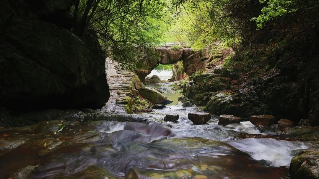 本组图片　杨晓培　摄