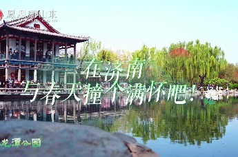 凤凰视频 | 在济南 与春天撞个满怀吧