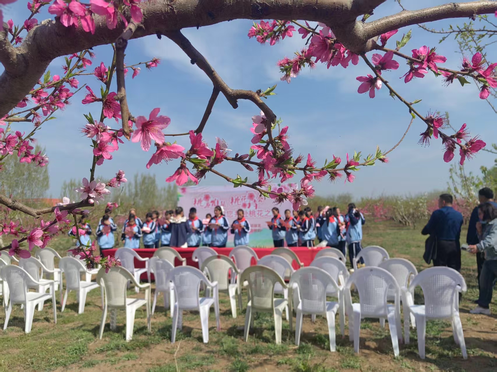 桃映古寨春光盛 艺术赋能乡村兴——山东梁山贾堌堆农家寨第五届汉服桃花节盛大启幕