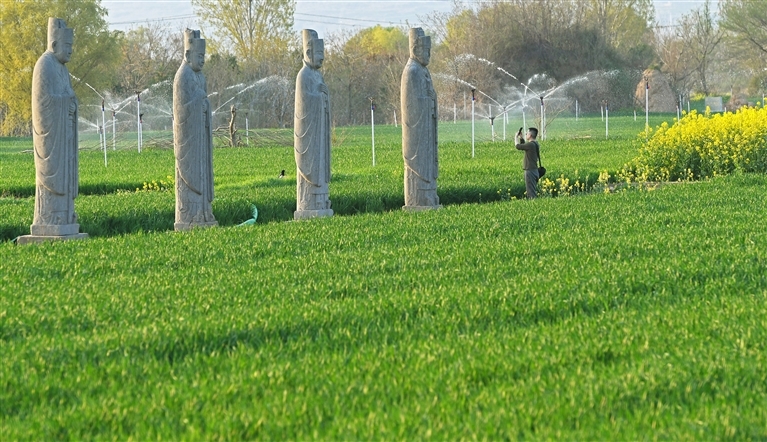 4月1日，巩义市芝田镇八陵村，游客在北宋皇陵永泰陵拍照打卡。白水平摄