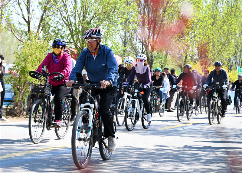 4月4日，自行车爱好者在威县梨产业路上骑行健身。