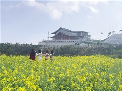 游客在花海中拍照打卡