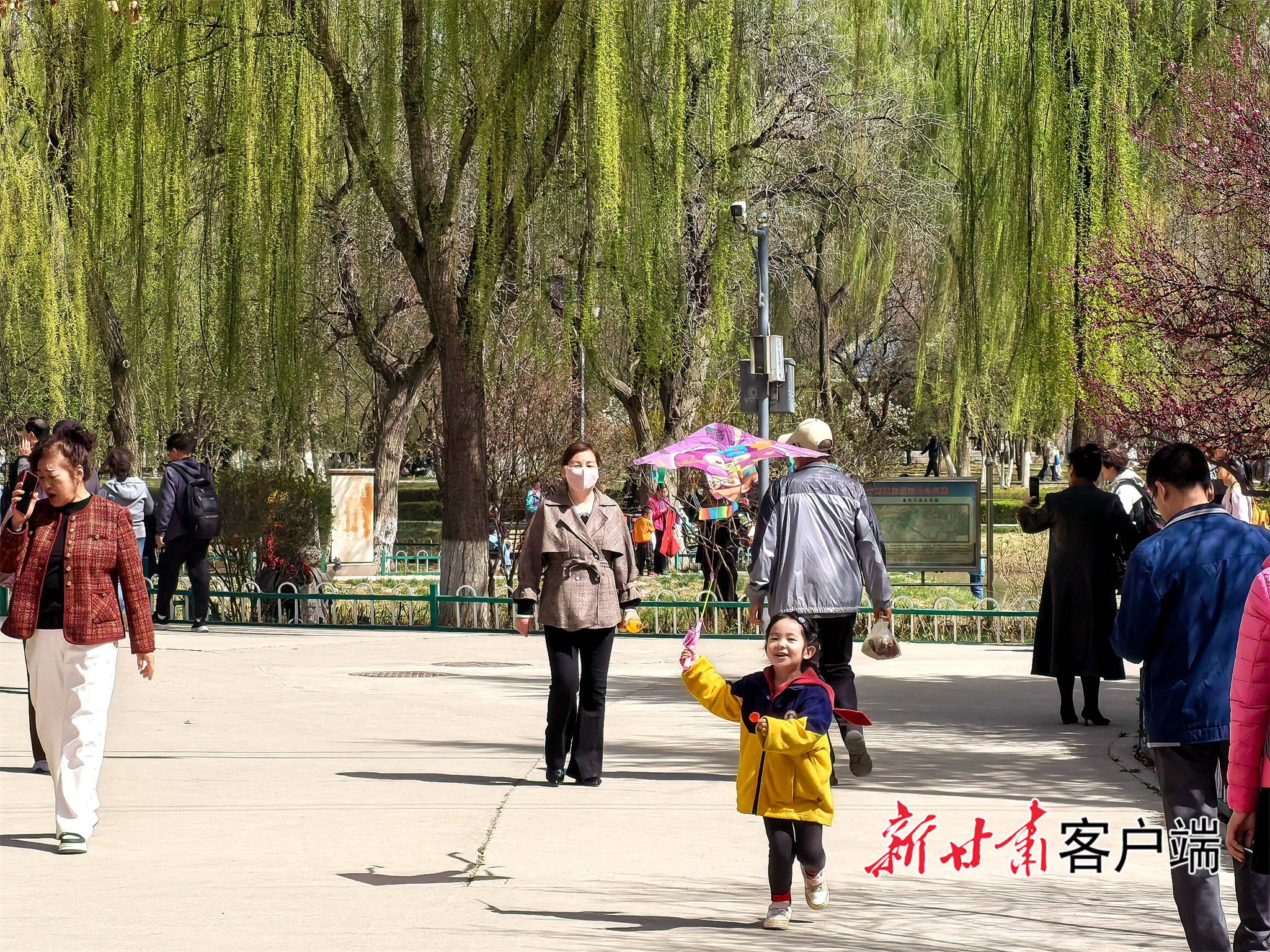 游客畅游兰州植物园