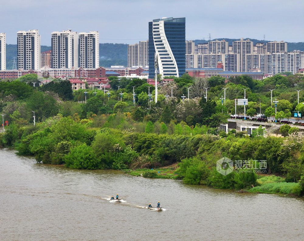 2026年4月8日，江西赣江泰和段，水上保洁员正在巡江护水。