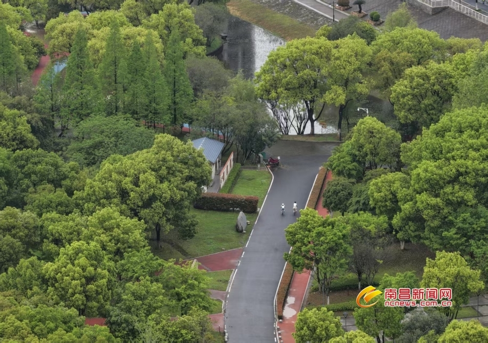 南昌红谷滩：家门口享绿色福利（图）