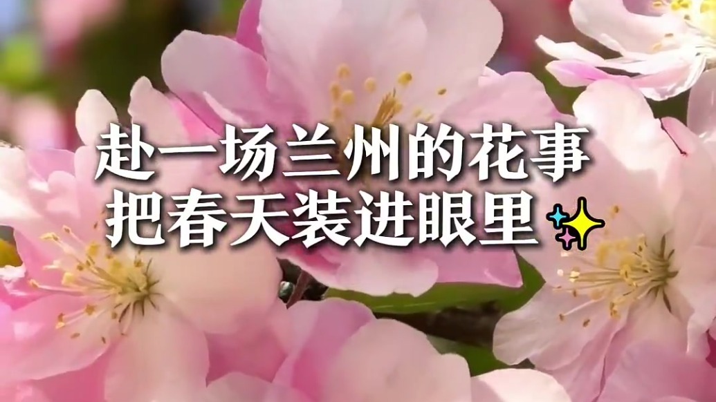 兰州的春天也太好拍了吧　这份赏花地图快码住