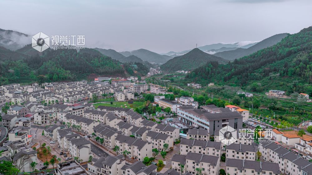 2026年4月11日在江西省吉安市遂川县汤湖镇万亩茶园拍摄的画面。