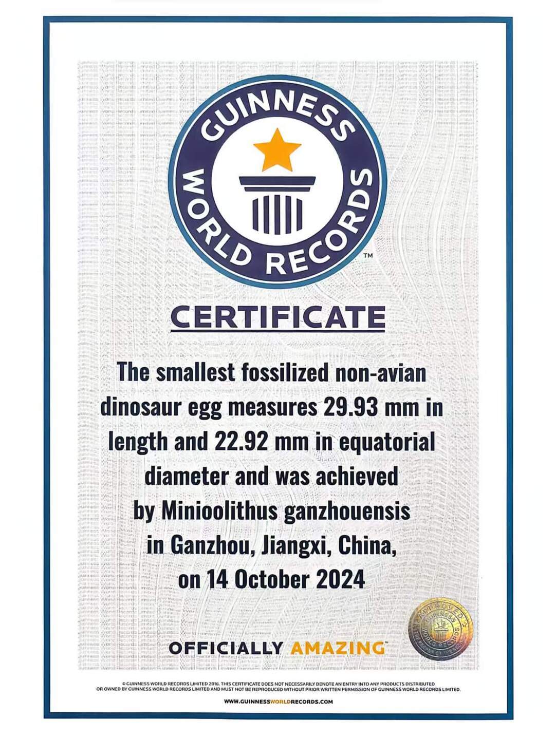 吉尼斯世界纪录证书