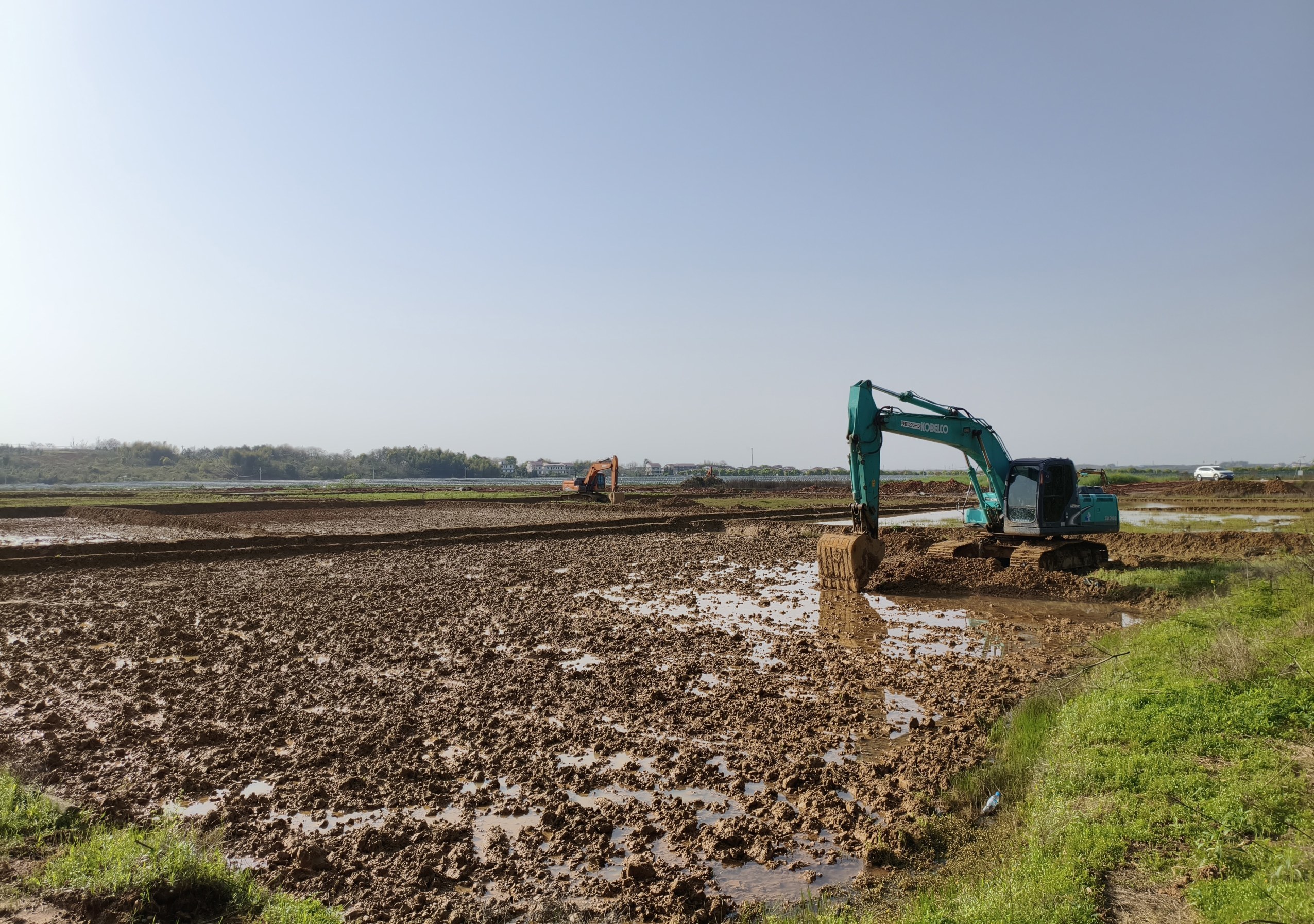 打造“南安香米”品牌，新余南安乡优质水稻种植基地正式开犁