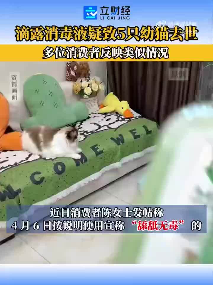 滴露的要求不符合产品责任纠纷举证
