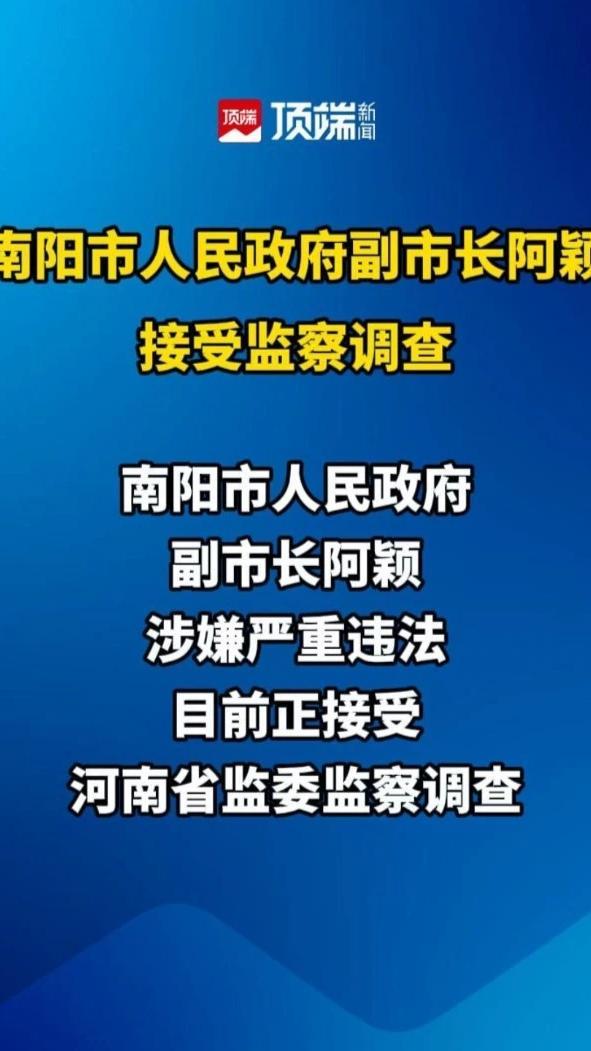 南阳市人民政府副市长阿颖接受监察调查