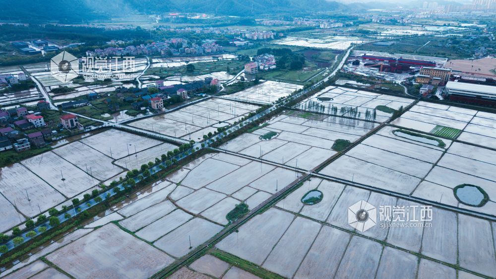 2026年4月14日，江西省吉安市吉水县醪桥镇沿江路雨停过后，远处的山脉积云成型，田野中的水面像一排排镜子，井然有序，被田野包围的小镇生动形象地展现出江西新农村的一张名片。