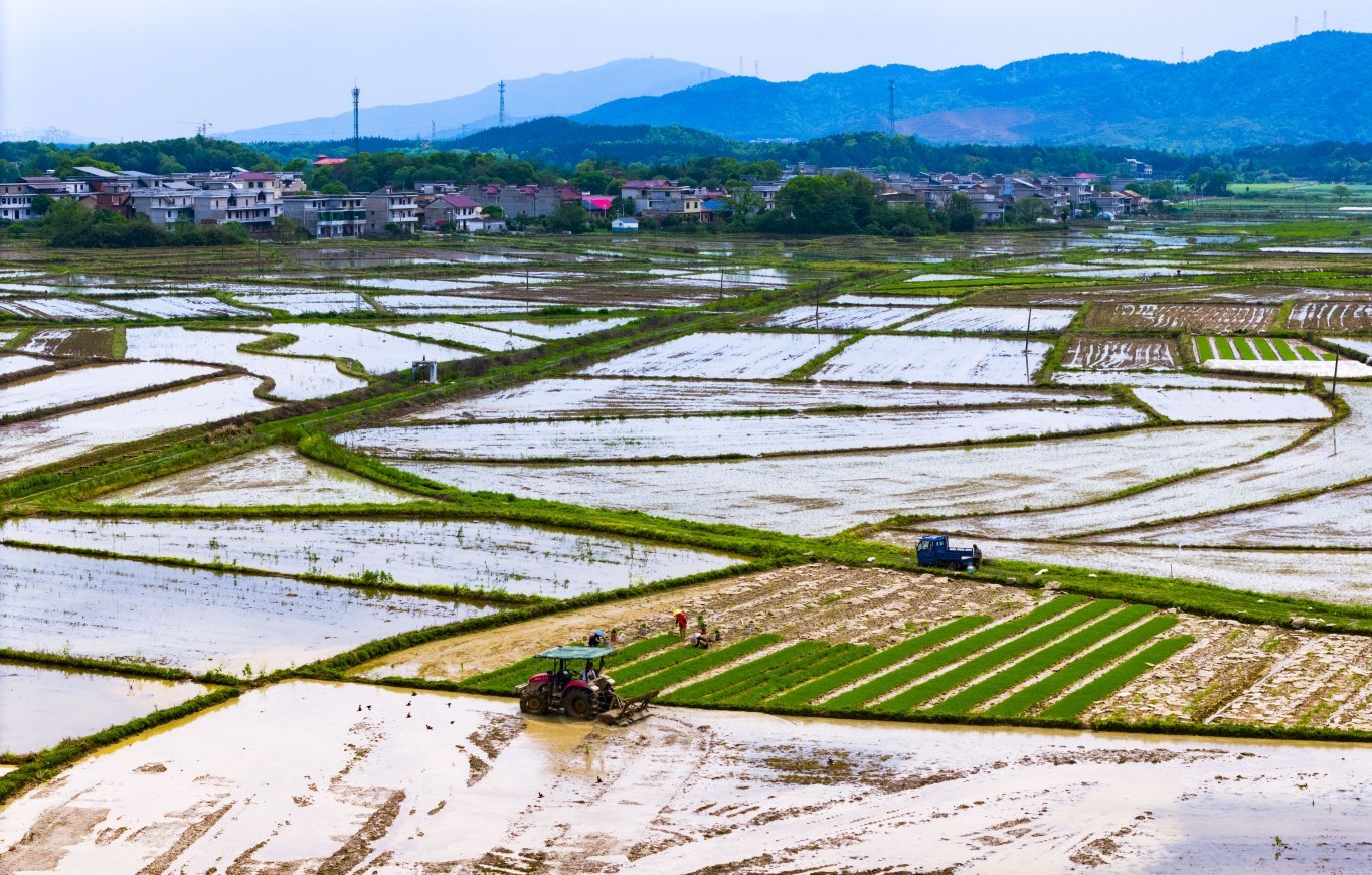 翻耕灌水后的田园如画，分宜湖泽镇春耕美景生机盎然