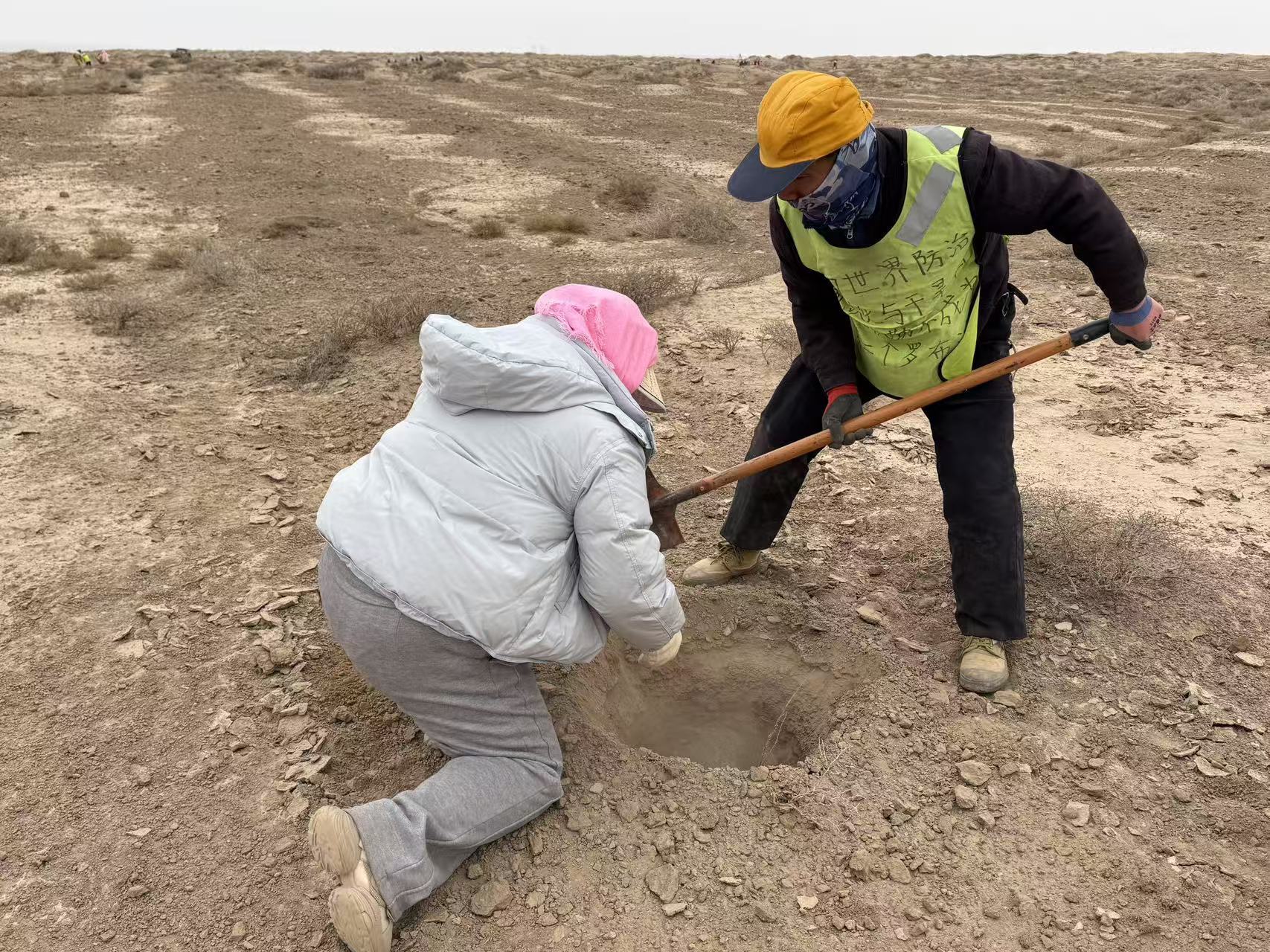 曲红（左一）正在挖坑种树