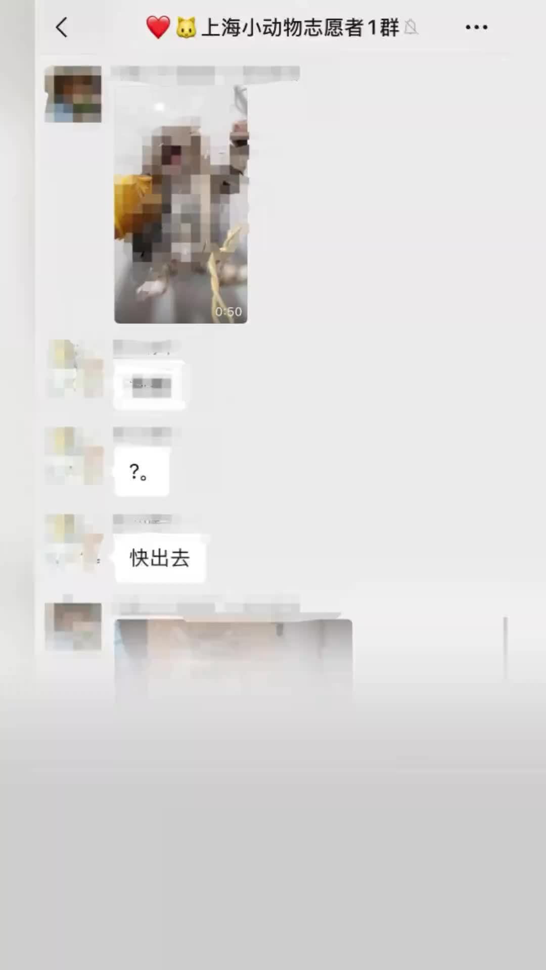 女子疑因举报虐猫被“开盒”造黄谣长达两个月，气进ICU，80岁奶奶的信息都被泄露