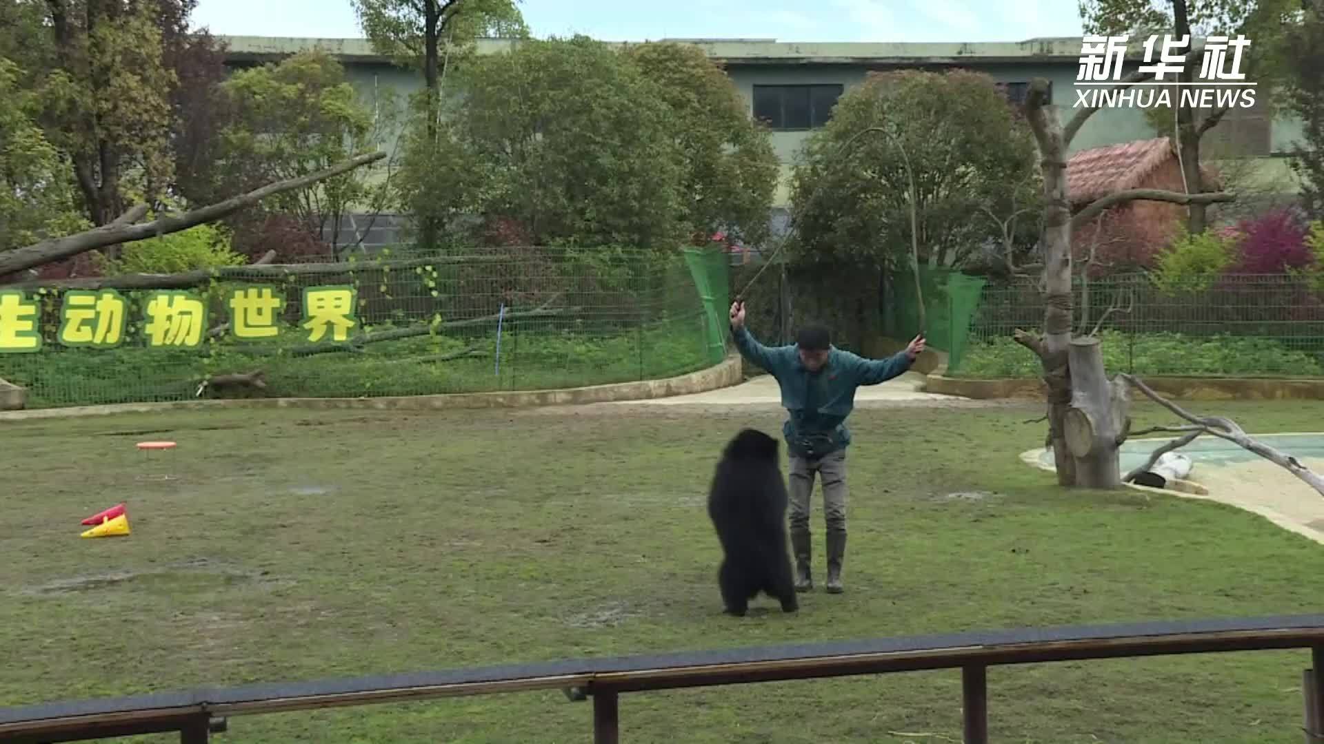 走进常德野生动物世界看春日勃勃生机