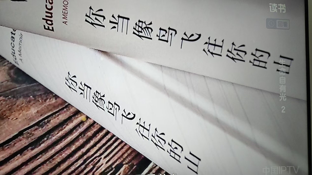 曹政伟：生命自有光——读《你当像鸟飞往你的山》有感