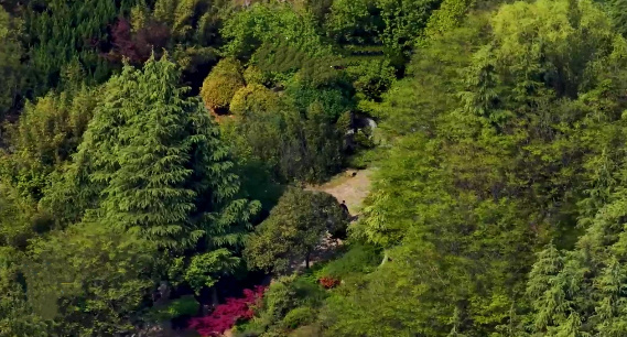 枣庄翠竹谷春光正好 满目青绿藏尽春日诗意