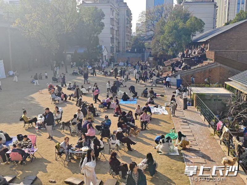 华驿&middot;飞碟营地内还有咖啡馆、美术馆、烘焙店、酒吧、买手店等多元业态，满足了不同年龄段游客的需求。