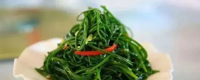 图源：甘肃发布