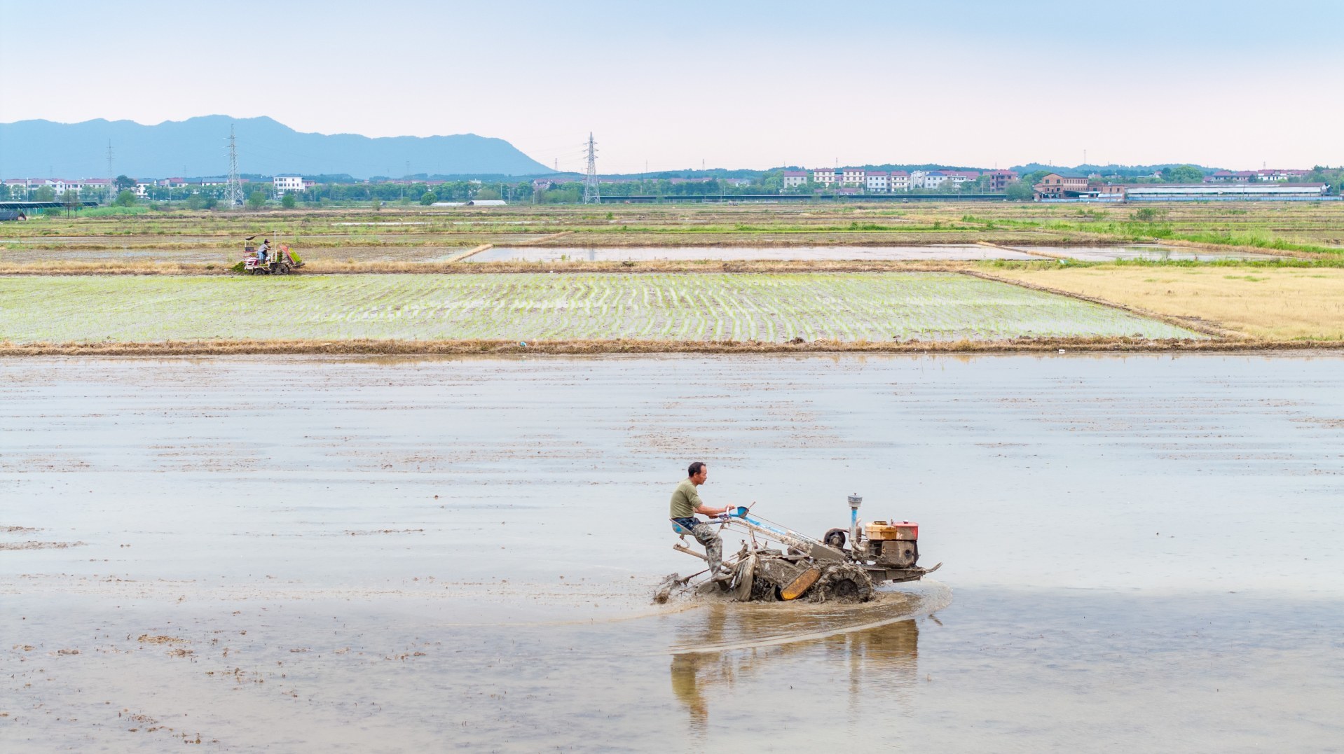 罗坊栽插、姚圩翻耕，新余渝水各地抢抓农时忙春耕