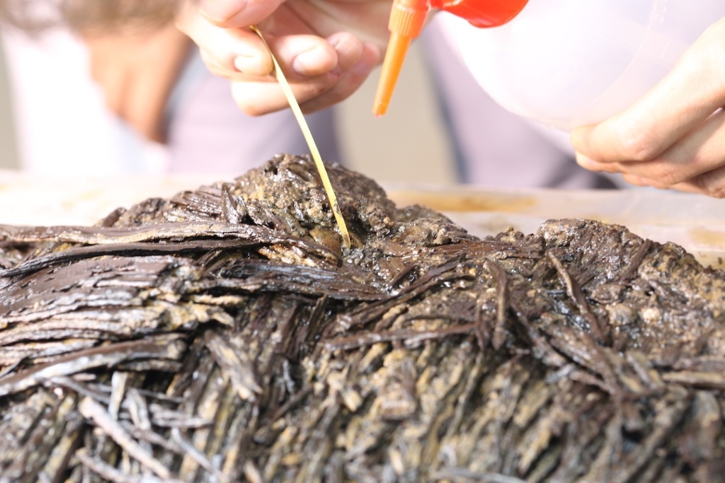 文保人员正在进行汉简揭剥工作。（江西省文物考古研究院供图）