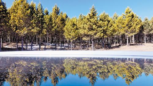 3月20日拍摄的塞罕坝机械林场。 本报记者 田 明摄