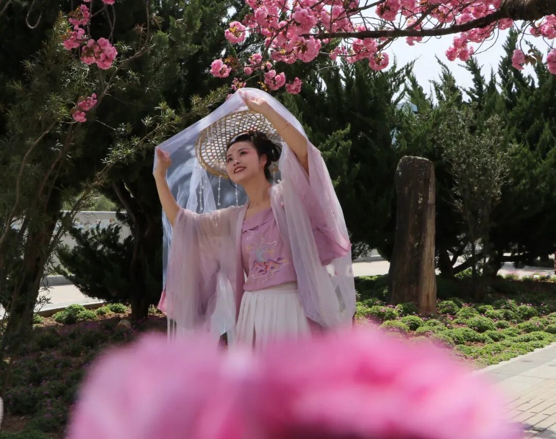 本组图片｜杨晓