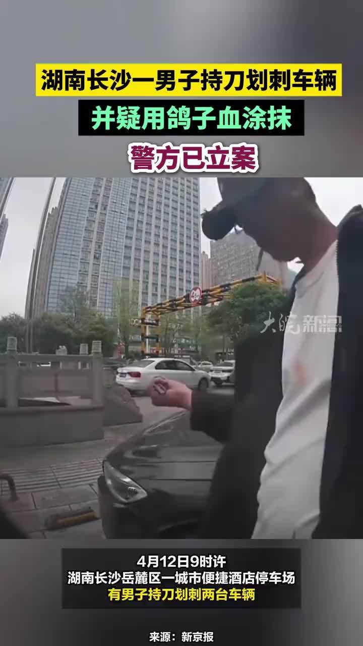 湖南长沙一男子持刀划刺车辆并疑用鸽子血涂抹，警方已立案#鸽子血 #湖南dou知道 #长沙本地
