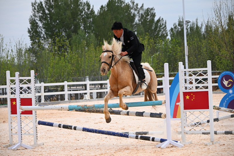 镜头里的“宝藏山东”:一镜藏三美,山水人文城