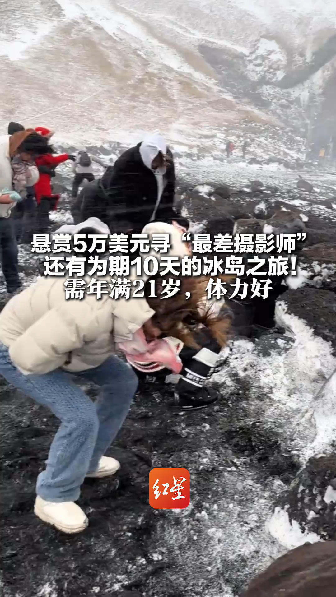 悬赏5万美元寻“最差摄影师” 还有为期10天的冰岛之旅！需年满21岁，体力好 招募方：“冰岛风光不可能拍不好”