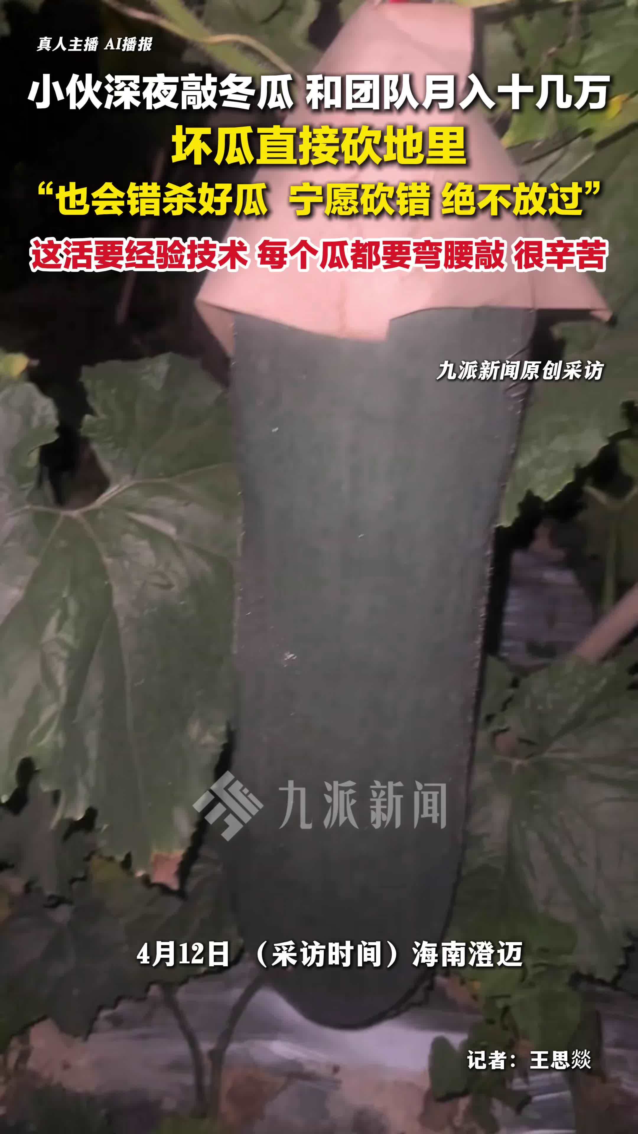小伙回应深夜敲冬瓜月入十几万：这活要经验技术每个瓜都要弯腰敲