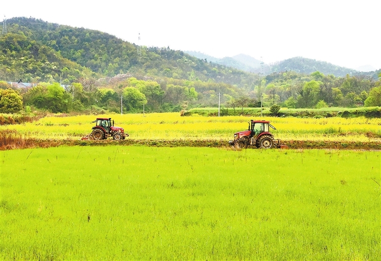 湖口县：翻耕农田备春种（图）