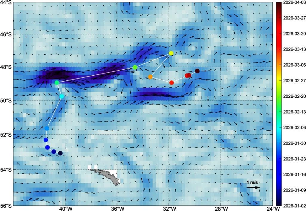 风云卫星监测的A23a冰山漂移路径(圆点为冰山位置,时间与右侧标注对应;图底色和箭头表示洋流)。(中国气象局供图)
