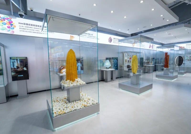 主题区域。受访单位供图