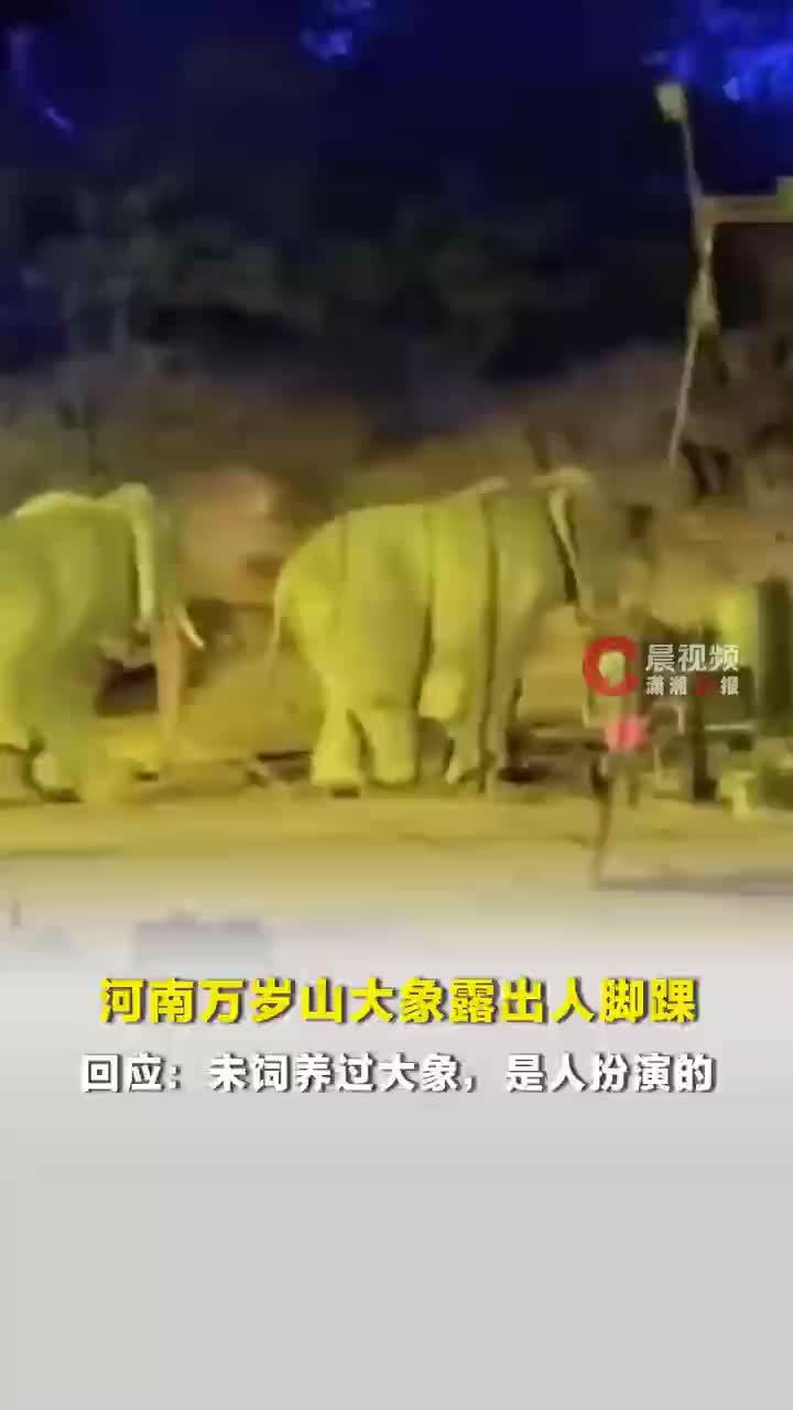 河南万岁山大象露出人脚踝，景区回应：从未饲养过大象，是人扮演的