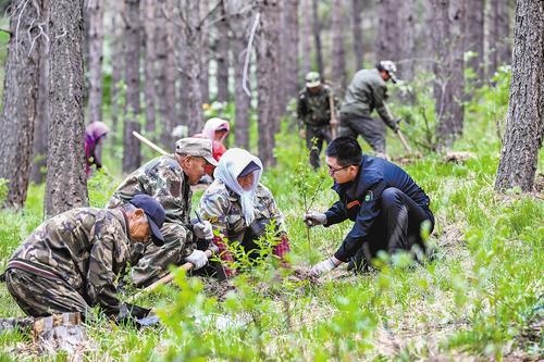 2024年5月23日,塞罕坝机械林场技术员唐超(前排右一)在指导附近村民栽植树苗。(本报资料片)本报记者 田明摄
