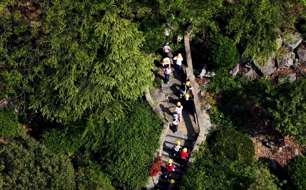 枣庄翠竹谷春光正好 满目青绿藏尽春日诗意