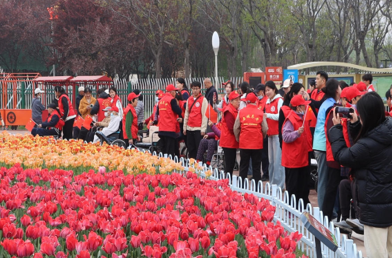 聊城高新区举办长者春日游园活动 温情守护银龄乐享春光