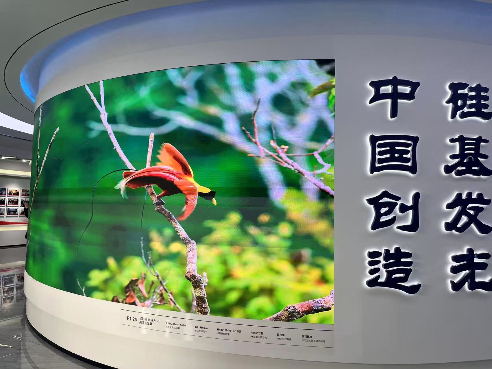 网络名人齐聚英雄城 共探中国式现代化的“南昌”脉动