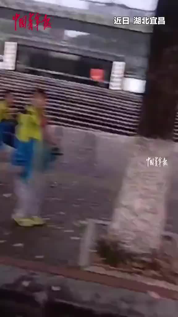 小学生发现罂粟后报警带警察扫毒