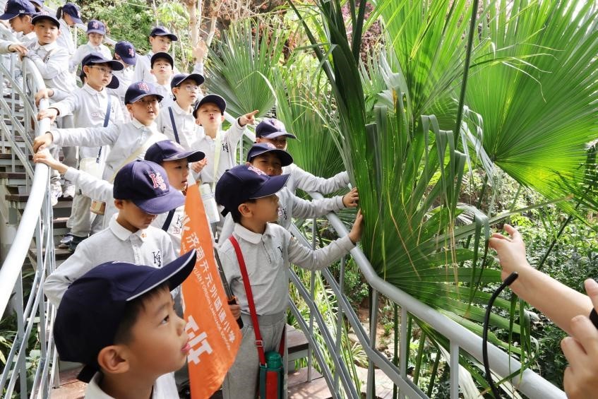 超萌出圈！把春天、运动、快乐一网打尽
