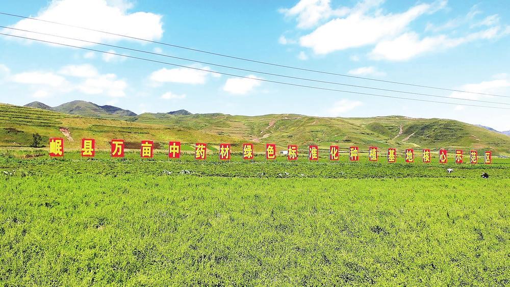 岷县万亩中药材绿色标准化种植基地核心示范区