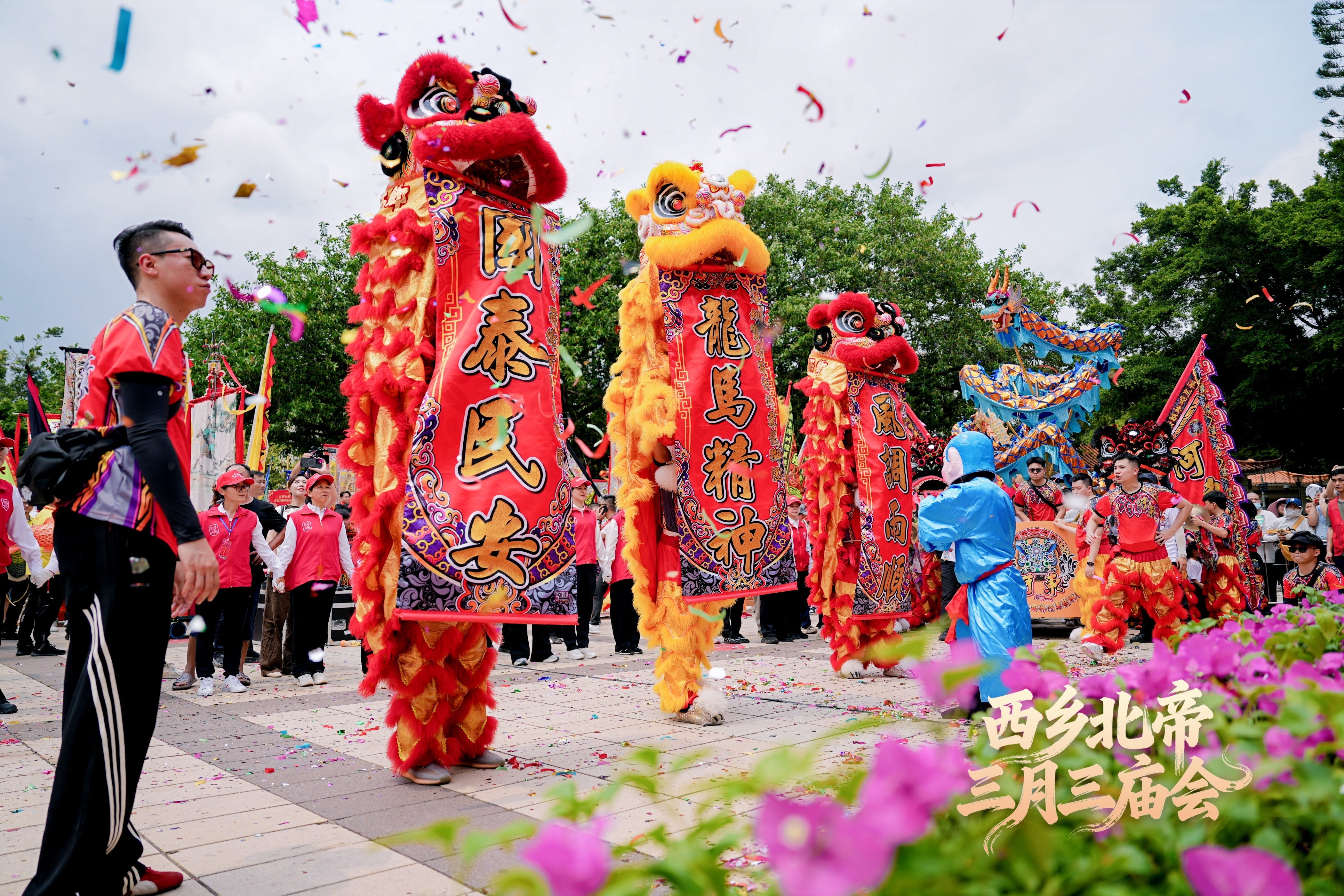 燃！西乡北帝三月三庙会今日盛大启幕