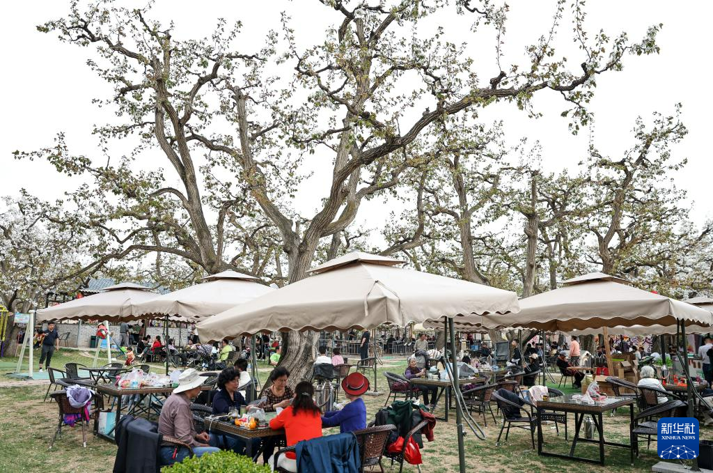 图源：新华社发（侯崇慧摄）