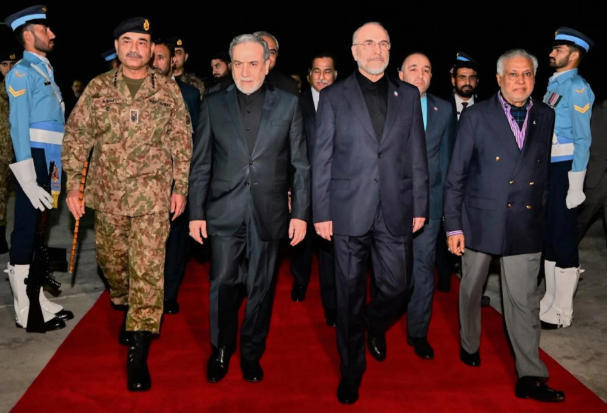 右二为卡利巴夫