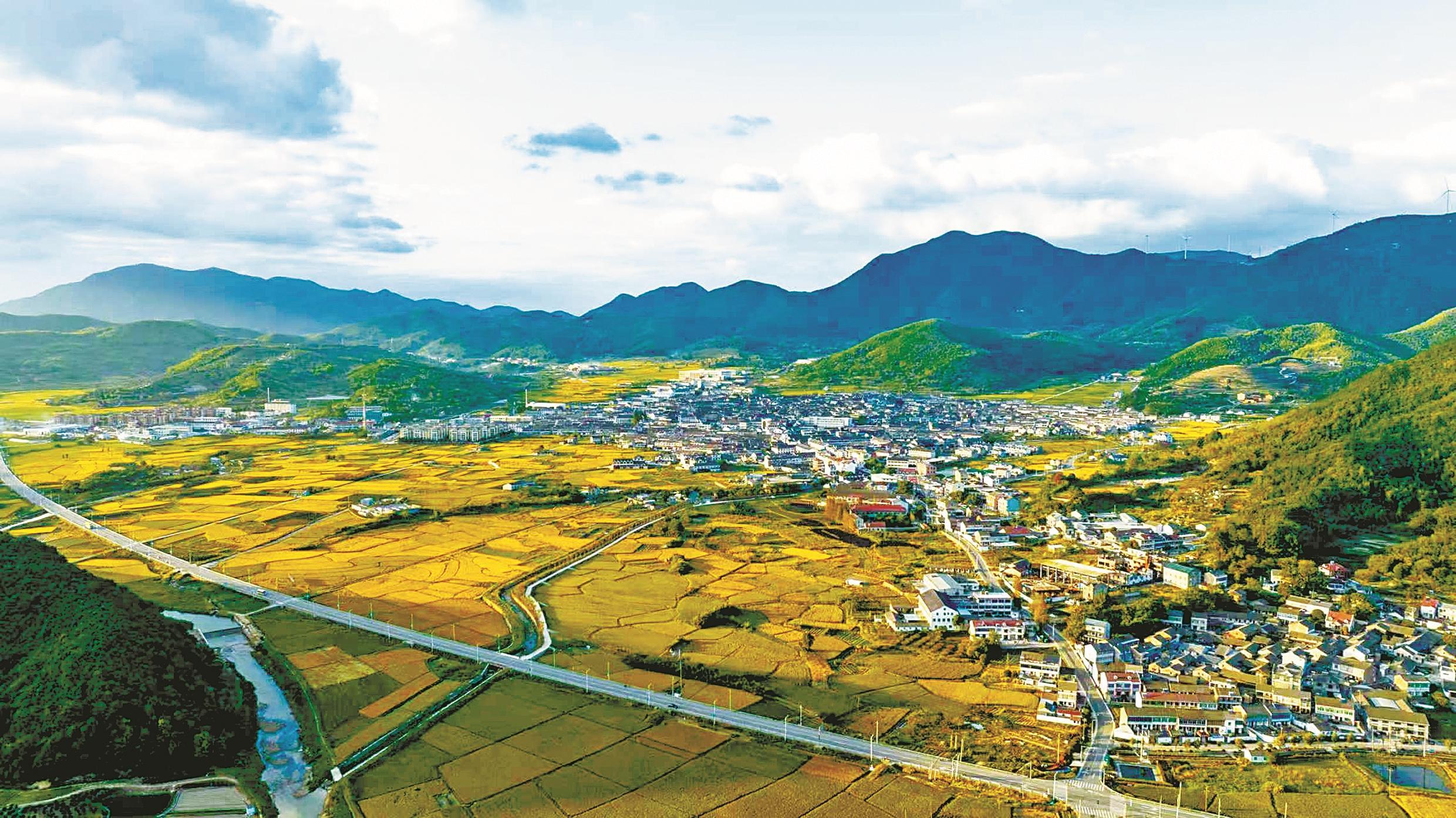 宁波8条农村精品路出炉