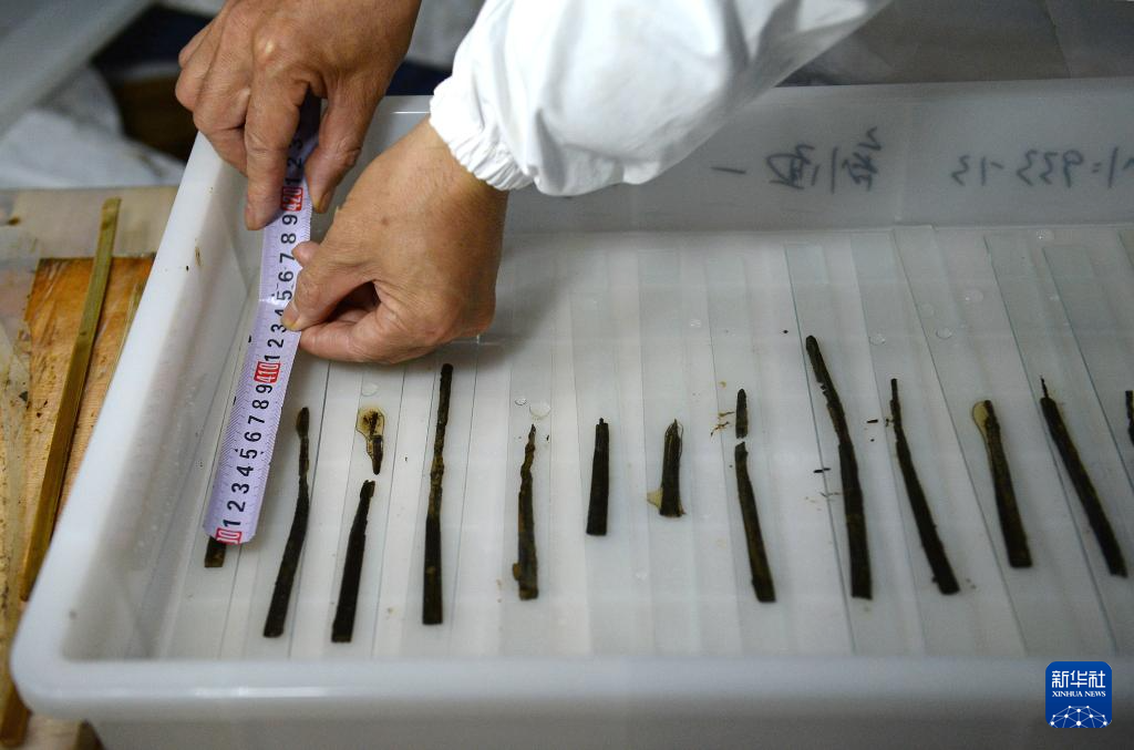 2015年11月24日，考古文保人员在位于江西南昌的海昏侯墓遗址文保用房内对出土的竹简进行剥离（资料照片）。新华社记者 万象 摄