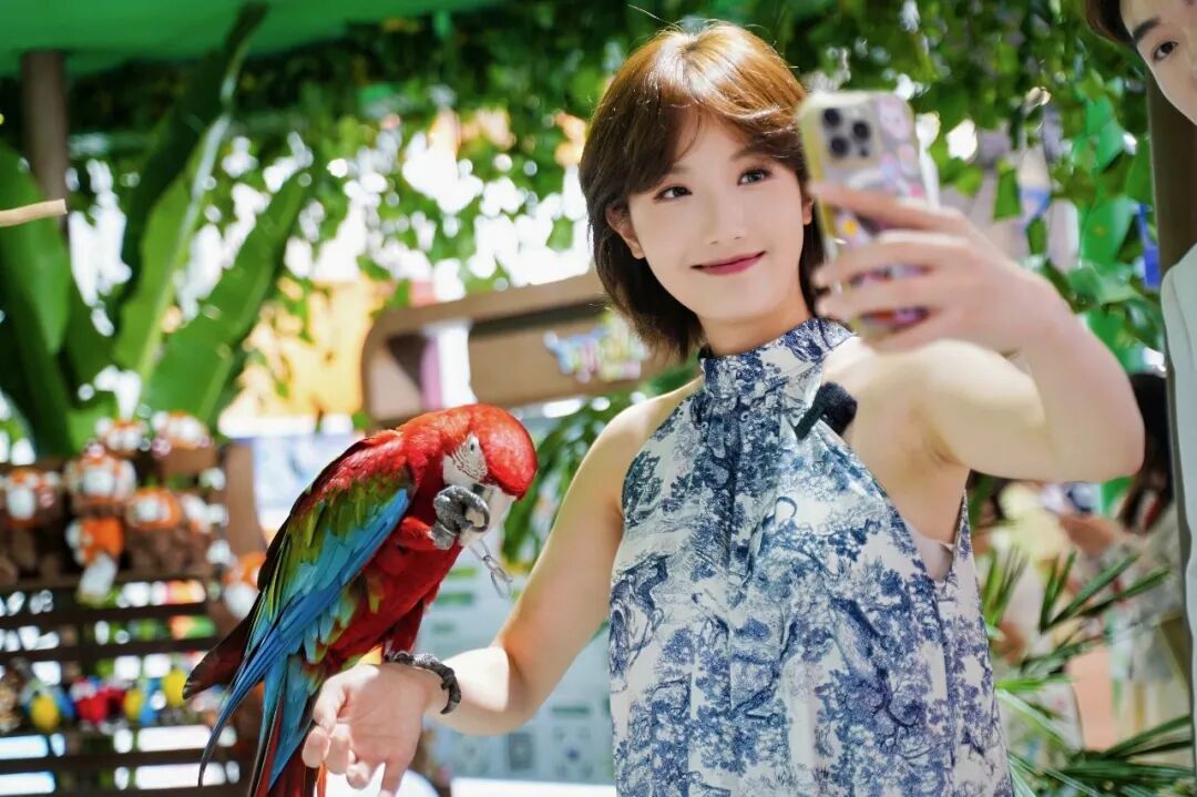 图片