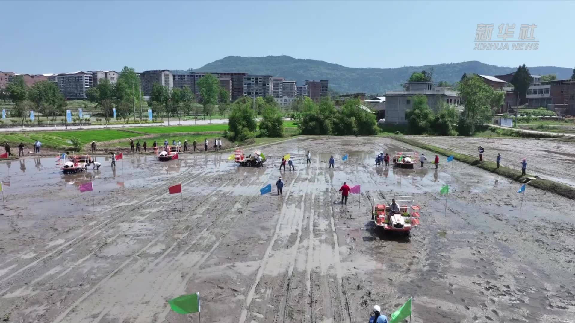 四川达川：川渝农机能手田间比武